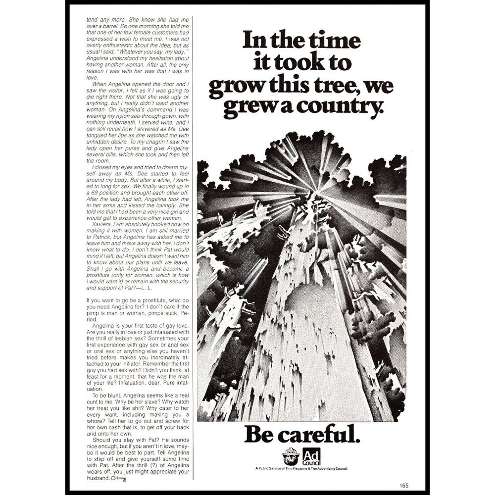 1981 Ad Council Smokey Bear Forest Fire Vintage Print Ad Modern Wall Art Photo